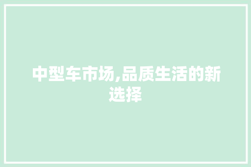 中型车市场,品质生活的新选择