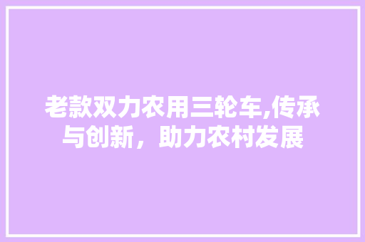 老款双力农用三轮车,传承与创新，助力农村发展