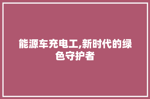 能源车充电工,新时代的绿色守护者