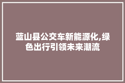 蓝山县公交车新能源化,绿色出行引领未来潮流