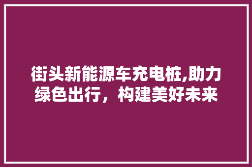 街头新能源车充电桩,助力绿色出行，构建美好未来 汽车配件