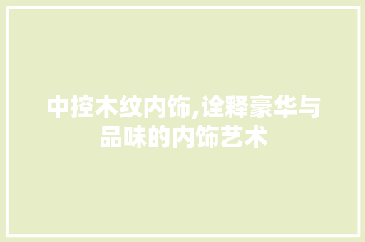 中控木纹内饰,诠释豪华与品味的内饰艺术