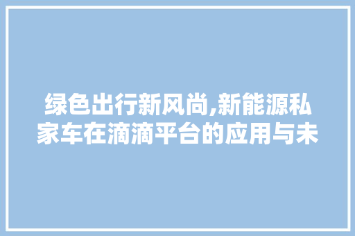 绿色出行新风尚,新能源私家车在滴滴平台的应用与未来展望