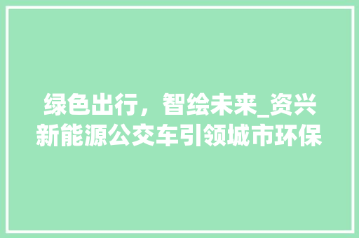 绿色出行，智绘未来_资兴新能源公交车引领城市环保新风尚 新能源汽车