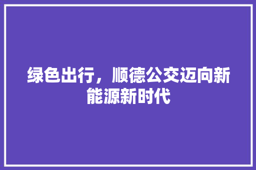 绿色出行，顺德公交迈向新能源新时代
