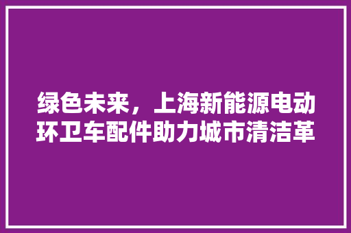 绿色未来，上海新能源电动环卫车配件助力城市清洁革命 车载导航