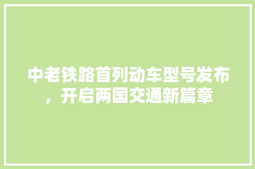中老铁路首列动车型号发布，开启两国交通新篇章