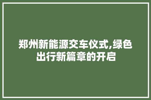 郑州新能源交车仪式,绿色出行新篇章的开启 车载导航