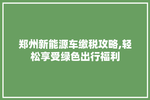 郑州新能源车缴税攻略,轻松享受绿色出行福利
