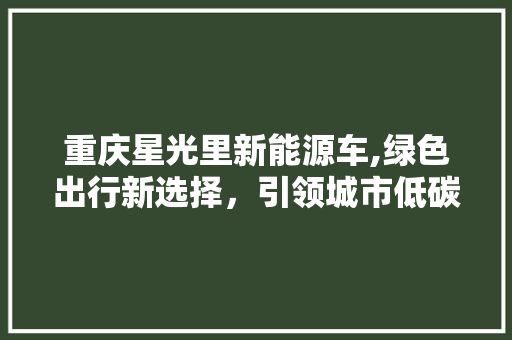 重庆星光里新能源车,绿色出行新选择，引领城市低碳潮流 车联网技术