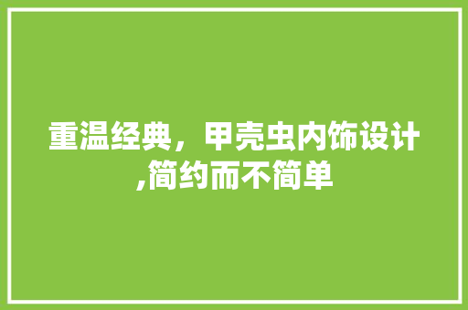 重温经典，甲壳虫内饰设计,简约而不简单