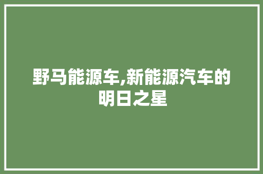野马能源车,新能源汽车的明日之星