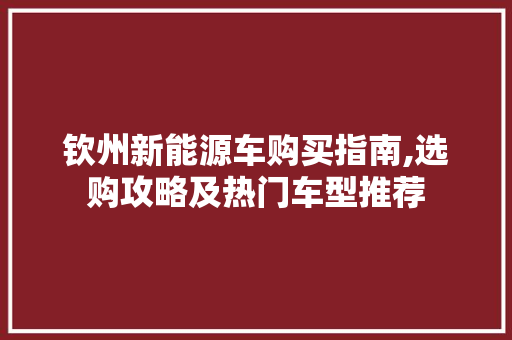 钦州新能源车购买指南,选购攻略及热门车型推荐
