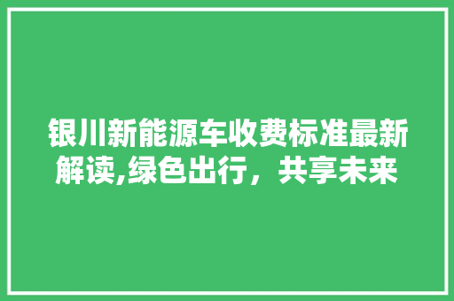 银川新能源车收费标准最新解读,绿色出行，共享未来