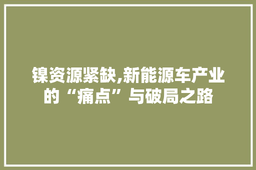 镍资源紧缺,新能源车产业的“痛点”与破局之路