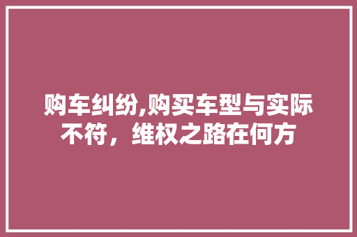 购车纠纷,购买车型与实际不符，维权之路在何方 自动驾驶
