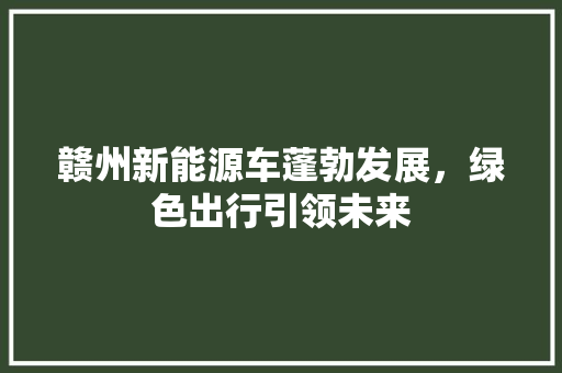 赣州新能源车蓬勃发展，绿色出行引领未来