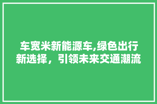 车宽米新能源车,绿色出行新选择，引领未来交通潮流