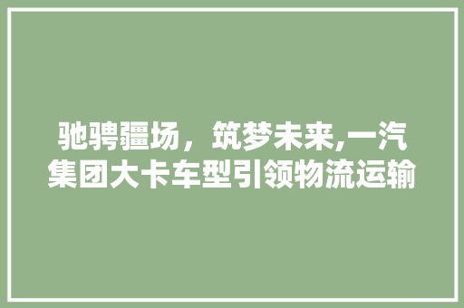 驰骋疆场，筑梦未来,一汽集团大卡车型引领物流运输新篇章