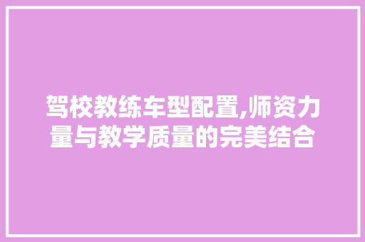 驾校教练车型配置,师资力量与教学质量的完美结合