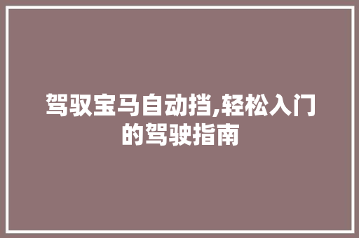 驾驭宝马自动挡,轻松入门的驾驶指南