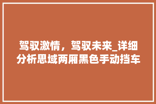 驾驭激情，驾驭未来_详细分析思域两厢黑色手动挡车型
