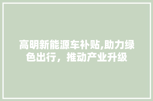 高明新能源车补贴,助力绿色出行，推动产业升级 混合动力车