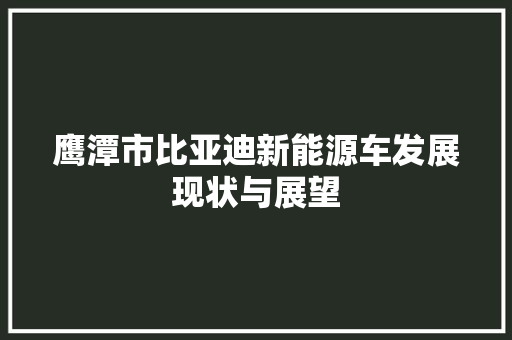 鹰潭市比亚迪新能源车发展现状与展望