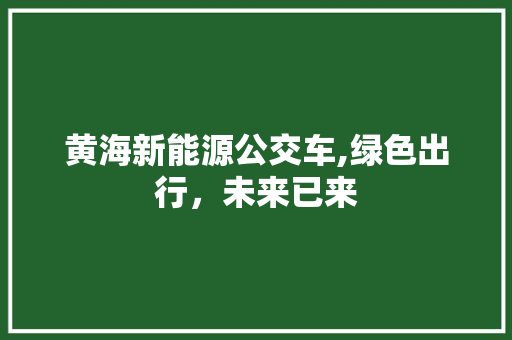 黄海新能源公交车,绿色出行，未来已来