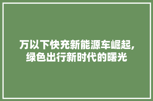 万以下快充新能源车崛起,绿色出行新时代的曙光