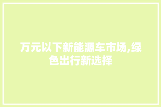 万元以下新能源车市场,绿色出行新选择
