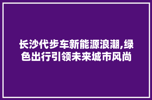 长沙代步车新能源浪潮,绿色出行引领未来城市风尚