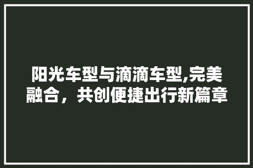 阳光车型与滴滴车型,完美融合，共创便捷出行新篇章