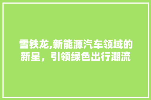 雪铁龙,新能源汽车领域的新星，引领绿色出行潮流