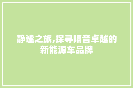 静谧之旅,探寻隔音卓越的新能源车品牌