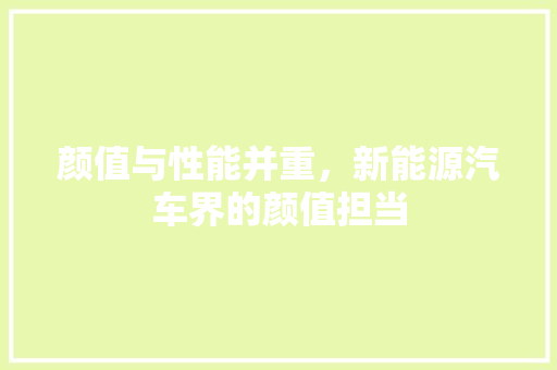 颜值与性能并重，新能源汽车界的颜值担当 混合动力车