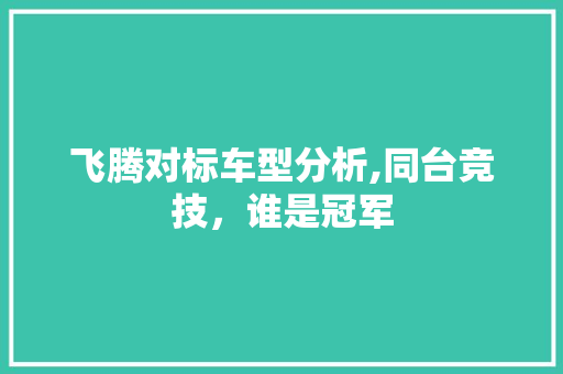 飞腾对标车型分析,同台竞技，谁是冠军