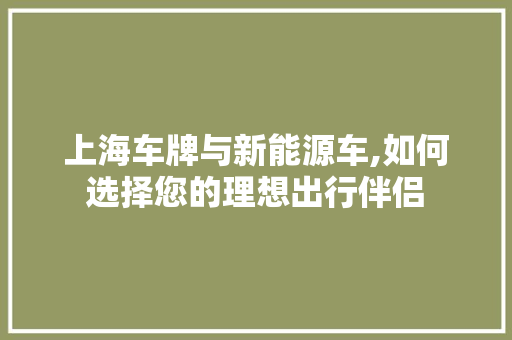 上海车牌与新能源车,如何选择您的理想出行伴侣