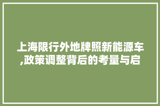 上海限行外地牌照新能源车,政策调整背后的考量与启示