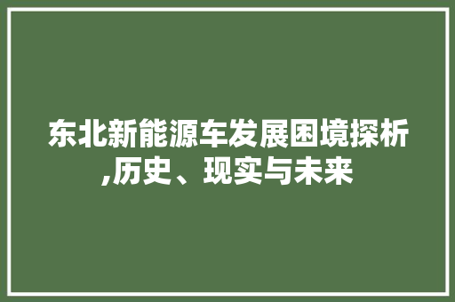 东北新能源车发展困境探析,历史、现实与未来