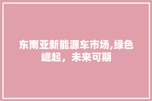 东南亚新能源车市场,绿色崛起，未来可期