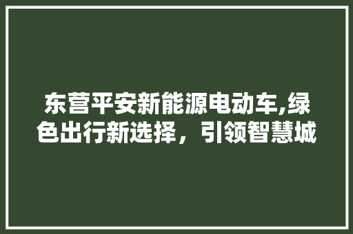 东营平安新能源电动车,绿色出行新选择，引领智慧城市未来