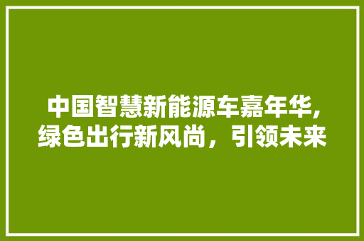 中国智慧新能源车嘉年华,绿色出行新风尚，引领未来出行革命