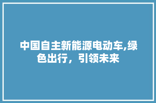 中国自主新能源电动车,绿色出行，引领未来
