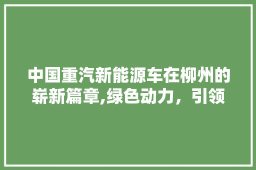 中国重汽新能源车在柳州的崭新篇章,绿色动力，引领未来