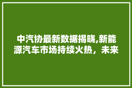 中汽协最新数据揭晓,新能源汽车市场持续火热，未来发展潜力巨大