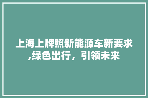 上海上牌照新能源车新要求,绿色出行，引领未来