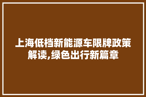 上海低档新能源车限牌政策解读,绿色出行新篇章