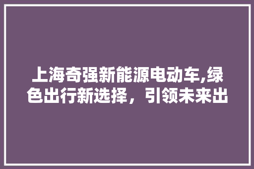 上海奇强新能源电动车,绿色出行新选择，引领未来出行潮流