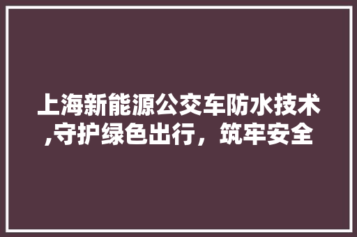 上海新能源公交车防水技术,守护绿色出行，筑牢安全防线